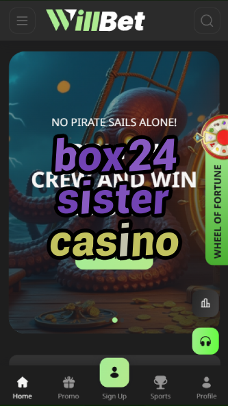 box24 sister casino-asdasdzhjkds.com